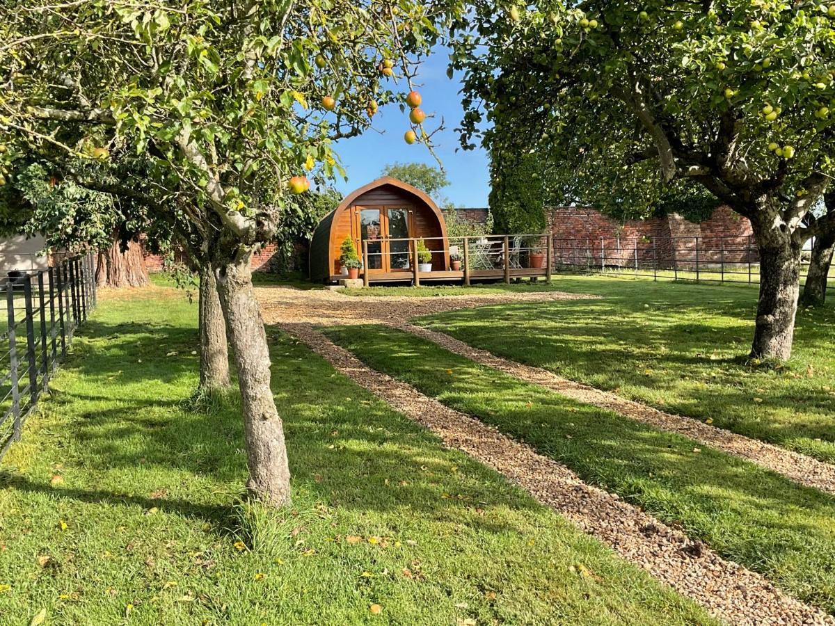 Secluded Cosy Luxury Pod With Wood Fired Hot Tub *